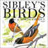SIBLEY'S BIRDS OF NORTH AMERICA 2026 WALL CALENDAR